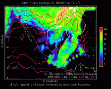 YL19990921_18_340K_5_9709A.GIF