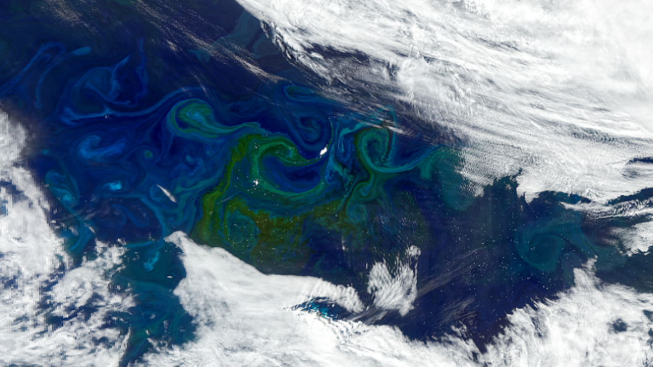 This image of icebergs circulating in the currents of the Southern portion of the Atlantic Ocean near the South Georgia Islands was acquired by the Ocean Color Instrument (OCI) aboard the PACE satellite on January 5, 2025. It features a large iceberg drifter named A-76B that used to be a part of Iceberg A-76, which was once the largest floating iceberg in the world. A-76B now covers an area of 216 square kilometers, approximately the size of Baltimore, Maryland. The large green-tinted swirls around the iceb