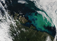 During the spring and summer in the Barents Sea, north of Norway and Russia, blue and green blooms of phytoplankton are often visible. The Moderate Resolution Imaging Spectroradiometer (MODIS) aboard NASA’s Aqua satellite captured this true-color image in 2021. Credit: NASA Earth Observatory