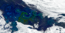 This image of icebergs circulating in the currents of the Southern portion of the Atlantic Ocean near the South Georgia Islands was acquired by the Ocean Color Instrument (OCI) aboard the PACE satellite on January 5, 2025. It features a large iceberg drifter named A-76B that used to be a part of Iceberg A-76, which was once the largest floating iceberg in the world. A-76B now covers an area of 216 square kilometers, approximately the size of Baltimore, Maryland. The large green-tinted swirls around the iceb