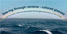 Using ocean color to illuminate the biogeochemistry of the ocean