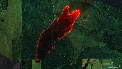AVIRIS-3 data mapping a wildfire near Castleberry, Alabama