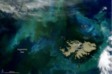 NASA’s PACE satellite captured this dazzling phytoplankton bloom around the Falkland Islands on December 28, 2024, showcasing the dynamic shifts in marine life and their impact on the ocean’s biodiversity and the global carbon cycle.