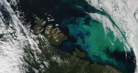 During the spring and summer in the Barents Sea, north of Norway and Russia, blue and green blooms of phytoplankton are often visible. The Moderate Resolution Imaging Spectroradiometer (MODIS) aboard NASA’s Aqua satellite captured this true-color image in 2021. Credit: NASA Earth Observatory