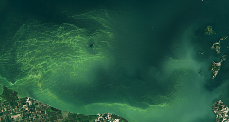 Algal communities flourish in Lake Erie’s western basin each summer. Scientists are looking to new NASA technology to better track them from space. Instrument: Landsat 9 — OLI-2 Larger image