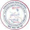 Airborne Antarctic Ozone Experiment (AAOE) Logo